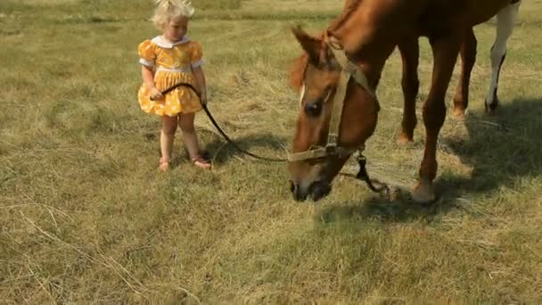 Ragazza e cavallo all'aperto — Video Stock