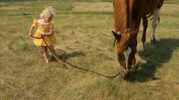 Meisje en paard buiten — Stockvideo