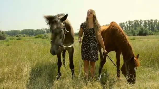 En flicka går in i ett fält med en häst — Stockvideo