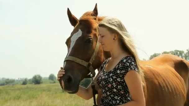 Uma menina entra em um campo com um cavalo — Vídeo de Stock