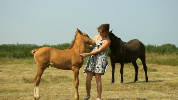 Mamma och baby med hästar på fältet — Stockvideo