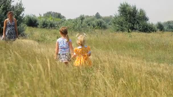 Mutter und Baby mit Pferden auf dem Feld — Stockvideo