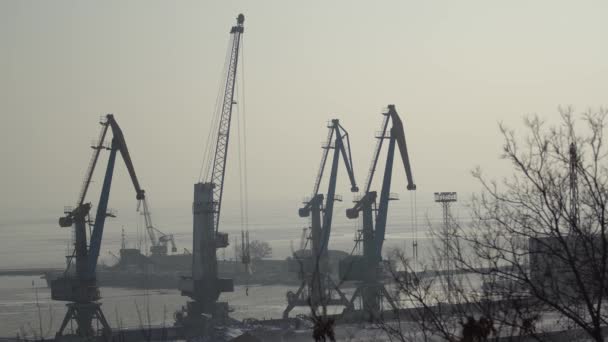 Industriekräne Vor Der Kulisse Des Seehafens — Stockvideo