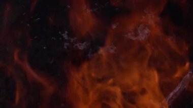 Fire flame in the ignition container. The tree burns emitting tar from the heat.