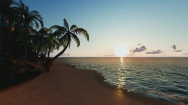 Beautiful sea view.The beach.Red sun disk time lapse.Green palm tree on blue sky.Lonely island.3D animation.Coconut or palm tree with clouds and blue sky.