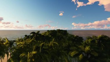 Palmiye ağaçları uçan.3d animasyon. Tropik sahilin üzerinde uçuyor. Küçük adanın havadan insansız hava aracı sahnesi. Kamera bitene kadar ada boyunca seyahat. 