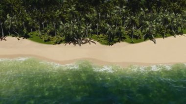 Tropikal palmiye ağaçları, beyaz kumlu plaj ve su mavisi deniz. Yukarıdan ada manzarası. Havadan Görünüm.