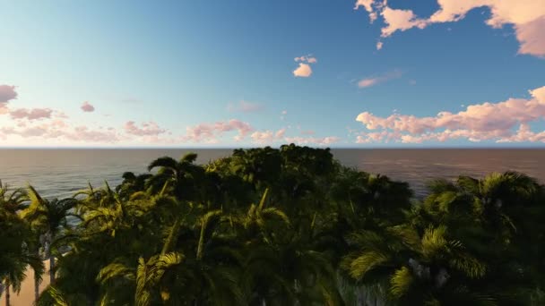 Palme che volano.Animazione 3D. Sorvolando la costa tropicale. Scena aerea di droni di Little Island. Fotocamera viaggia lungo l'isola fino alla fine . — Video Stock