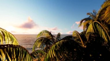 Gün batımında palmiye ağaçlarının zaman atlamalı. Tropikal Pasifik Cruise Ship Palms Ocean Beach Romantik Sunset Loop