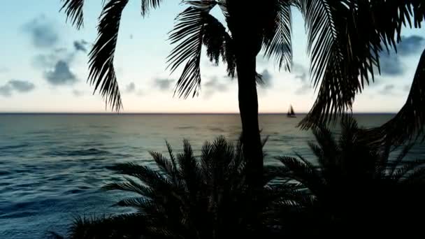 Playa Exótica al amanecer. Navegación insignia al amanecer. Increíbles colores del amanecer tropical . — Vídeo de stock