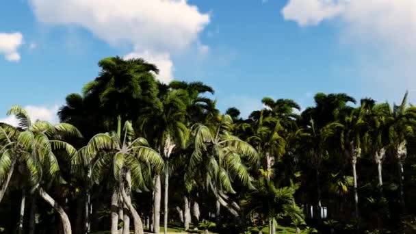 La cámara vuela por la isla. Avanzar a lo largo de la hermosa playa, a la zona rocosa y árboles. La luz del sol de la noche, zona de isla resort . — Vídeo de stock