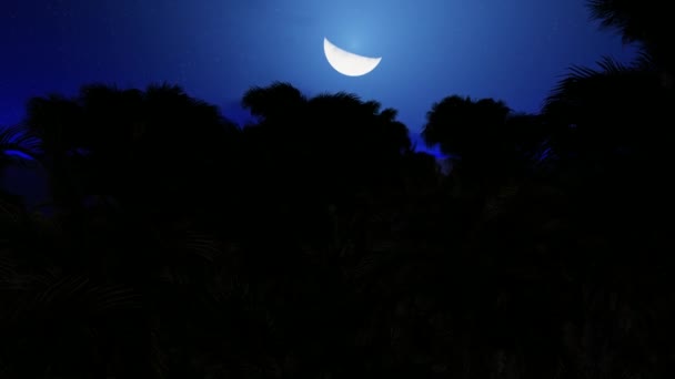 Imágenes de lapso de tiempo con zoom en movimiento de luna creciente sobre palmeras en el crepúsculo. Paisaje nocturno con palmeras. LUNA El lapso de tiempo de una luna llena extrema ultra gigantesca que se levanta con muchas palmeras en primer plano creando una espectacular — Vídeo de stock