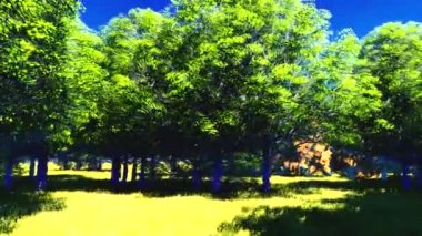 ağaçların gölgesinde