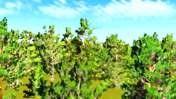 Stromy v zaměření — Stock video