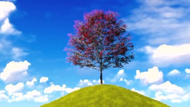 Arbre coloré sur la colline 