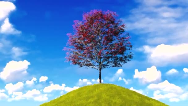 Colorful tree on the hill — Stock Video