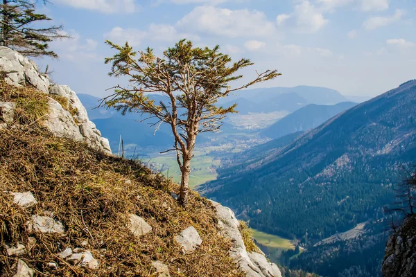 karla kaplı dağ manzaralı panoramik fotoğraf