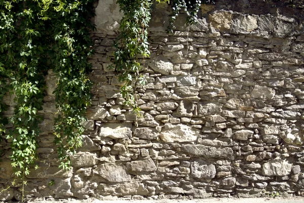 Castello, edificio storico, pietra wal — Foto Stock