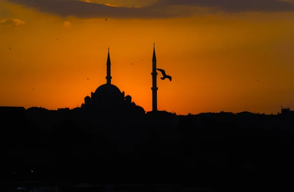 İnanılmaz romantik manzara, eski Minare