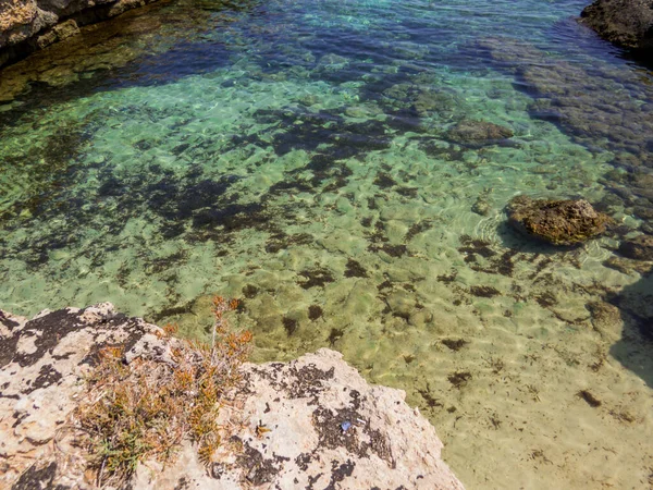 意大利巴里省莫纳波里附近田园诗般的Cala Torre Cintola景观 — 图库照片