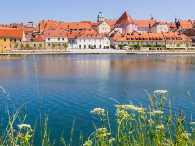Drava Nehri 'ndeki eski kasabanın manzarası. Maribor, Slovenya 'da