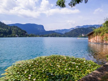 Bled Gölü manzarası. Slovenya, Bled 'de