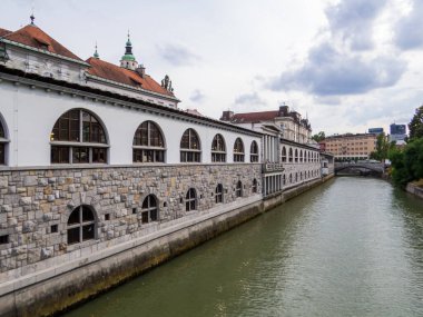 Ljubljanica Nehri manzarası. Ljubljana, Slovenya 'da