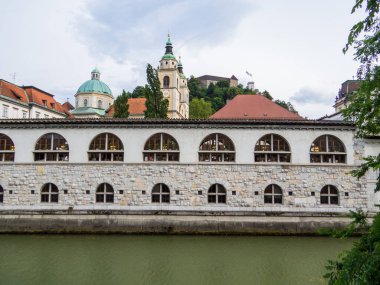 Arka planda Ljubljana Kalesi olan Aziz Nicholas Katedrali manzarası. Ljubljanica Nehri 'ni görüntüle