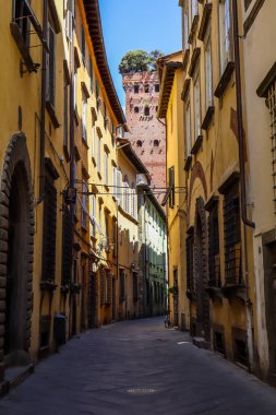 Arka planda Guinigi Kulesi olan eski kasabada Picturesque Caddesi. Lucca, İtalya 'da