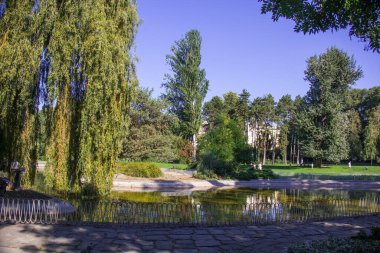 Sırbistan 'ın Novi Sad kentindeki Tuna Parkı manzarası