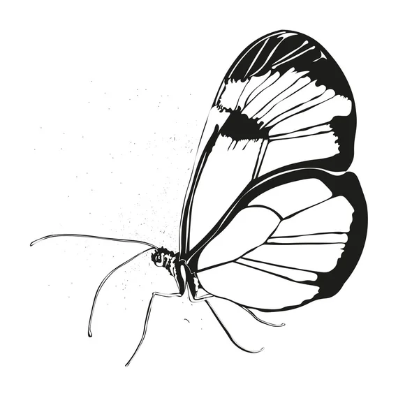 Güzel siluet butterfly.vector illüstrasyon