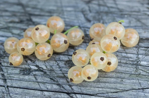 Beyaz kuş üzümü makro