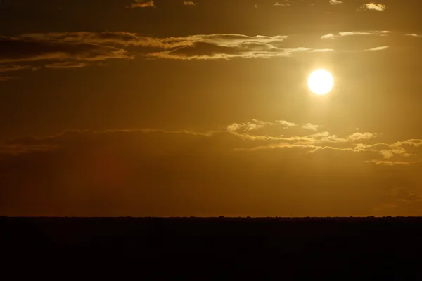 Golden Sunset - Addo Landscape — Stock Photo, Image