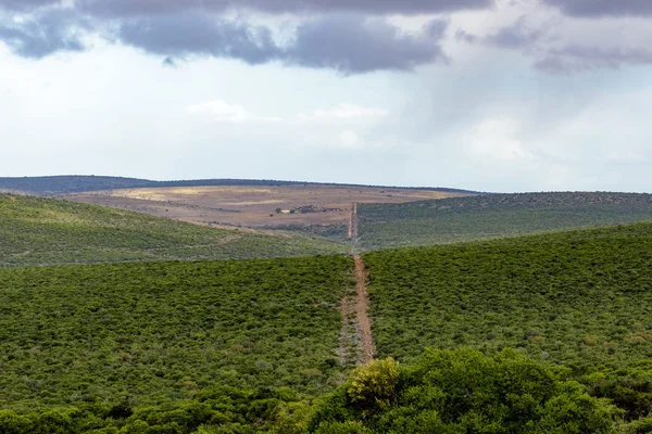 The Green - Addo Landscape — Stock Photo, Image