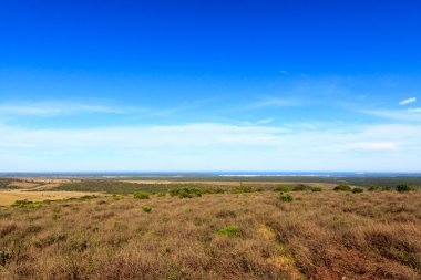 Yeni Addo dikkat et - güzel
