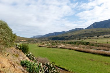 Kareedouw yeşil çim peyzaj 