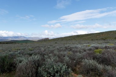 Dağ - Oudtshoorn aşağı bakıyor