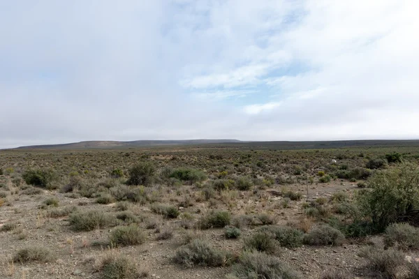 En el Karoo seco - Paisaje de Fraserburg Fotos De Stock Sin Royalties Gratis