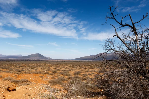 Terra asciutta - Graaff-Reinet Paesaggio — Foto Stock