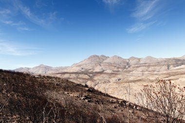 Dağ - Swartberg doğa rezerv