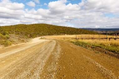 Yolun orta Plaas - De pas için