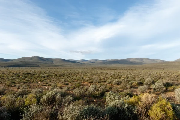 Green Mountains - La vista dall'Osservatorio Sutherland SALT — Foto Stock