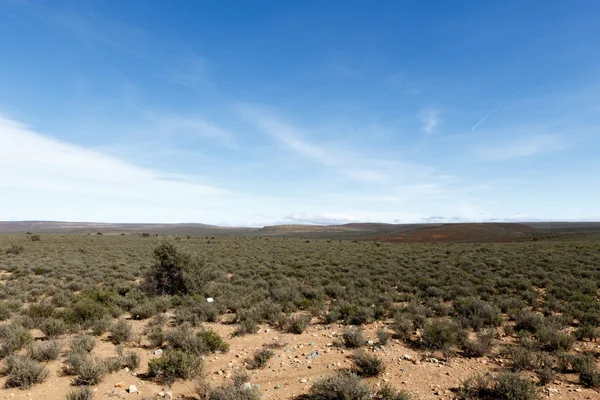 Green and Cold - La vista dall'Osservatorio Sutherland SALT — Foto Stock