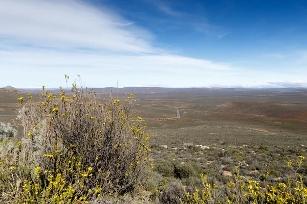 Yellow in a field of nothing - The view from The Sutherland Obse — Stock Photo, Image