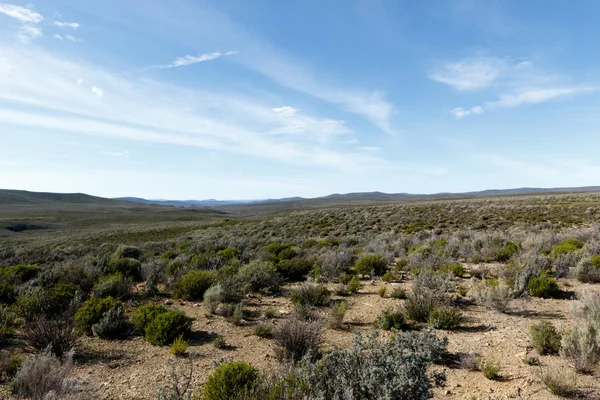 Paesaggio verde e blu di Tankwa Karoo — Foto Stock