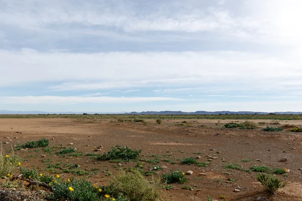 Empty Space with blue clouds in Tankwa Karoo — Stock Photo, Image