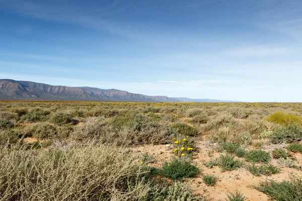 Cielos azules que no llevan a nada en Tankwa Karoo Fotos De Stock