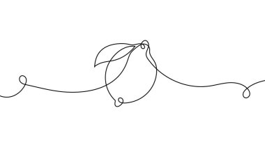 Continuous one line drawing of lemon and lime fruits. Minimal vector illustration in simple linear style. Fresh citrus fruit design element for food, health, and decor.
