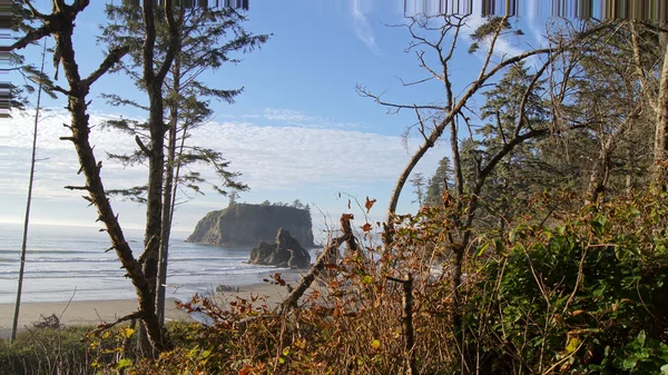 Olympic National Park, Usa, 03th oktober 2014 - Ruby Beach nära Seattle - Washington — Stockfoto