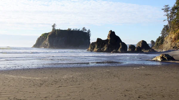 Olympijský národní Park, Usa, 03th říjen 2014 - Ruby Beach nedaleko Seattlu - Washington — Stock fotografie